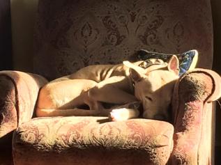 10253876_590238960963_7855873819677902185_n