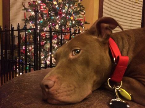 10360964_610427043883_8903761998347270878_n