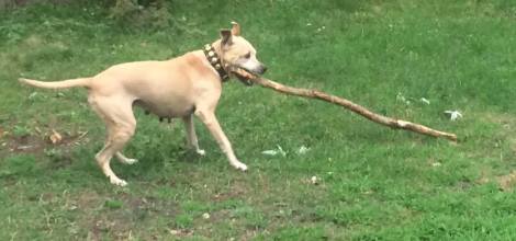 11954791_605450122673_3526770930251179411_n