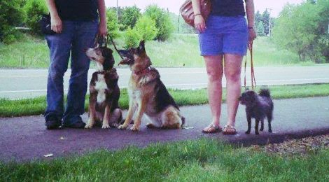 12400587_611644768553_231440625354516452_n