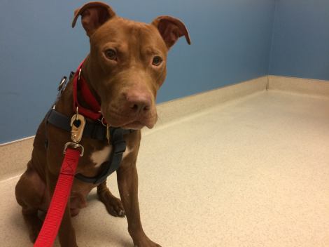 12401763_611415183643_2942859182262784023_o