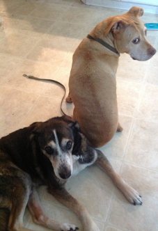 1273971_544977011273_1416017768_o