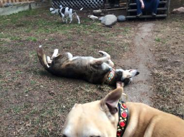 13848_592799574473_2685769624810246110_n