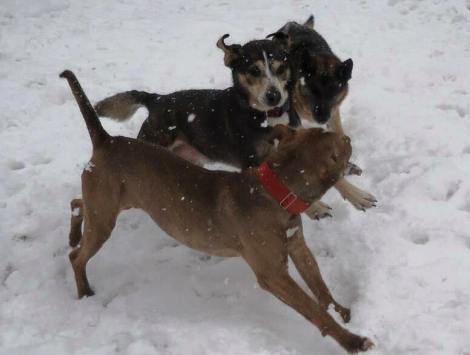 1625609_606784323923_3963990189234488730_n