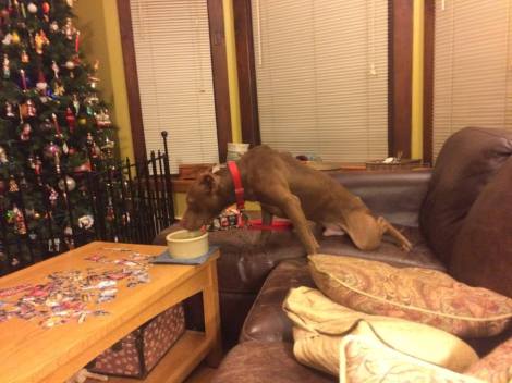 1910451_611001382903_8267077857788449477_n