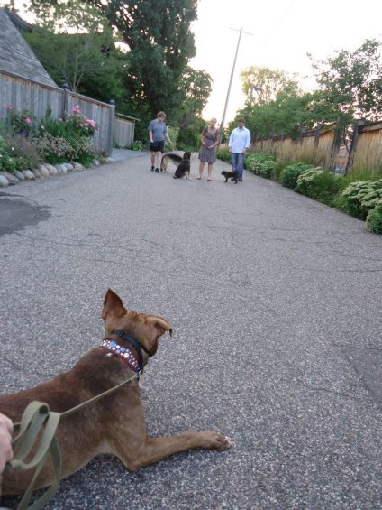 293012_348056721936013_1544732782_n