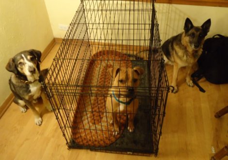 397313_518624736443_1630516984_n