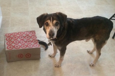 10390412_584015063703_4897863323131014815_n