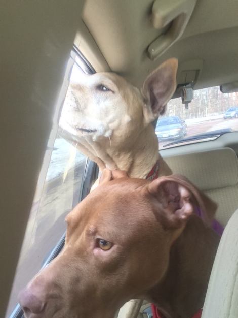 10455120_613313639123_2368245471062079445_n