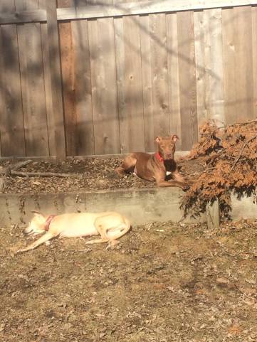 12096129_613537260983_6870977517125606611_n