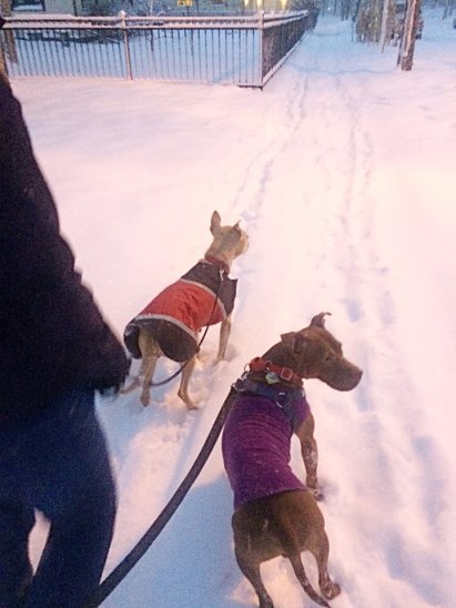 12631394_612619659863_345180550599179292_n