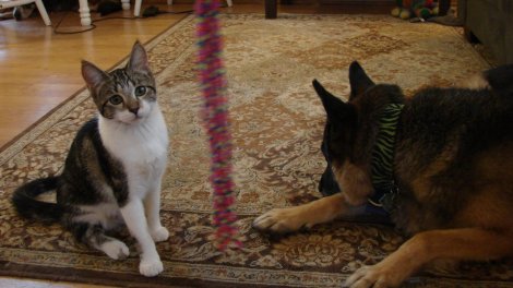 312088_513893822233_4884463_n