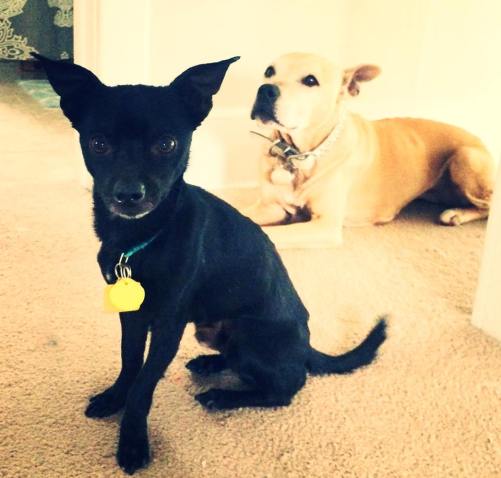 1919239_614647805443_7248516673406159804_n