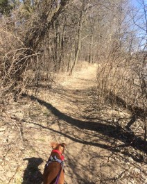 2784_614343595083_2962524144670449383_n