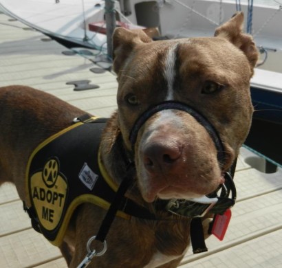 282229_359755317432820_290501504_n