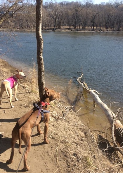 564446_614343744783_6763821164692794685_n