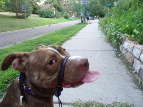 580841_348056738602678_602554700_n