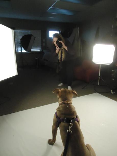 68450_407747735966911_205079999_n