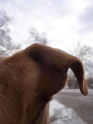 72880_408118199263198_1742850026_n