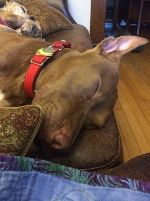 729_614343305663_5864931700458693372_n