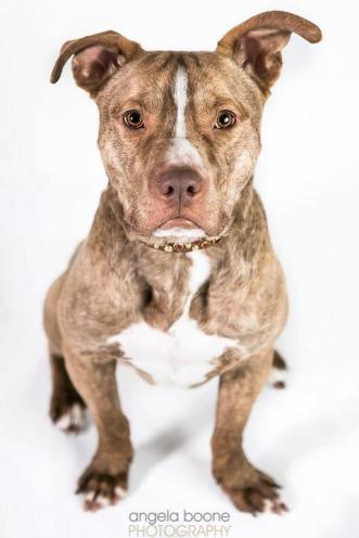 74896_408656939209324_496644124_n