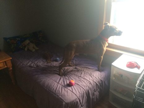 13001044_617486771133_5625409431625351897_n