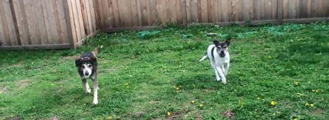 13226737_619290865713_625797114181835614_n